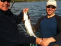 Nova Scotia Landlocked Salmon